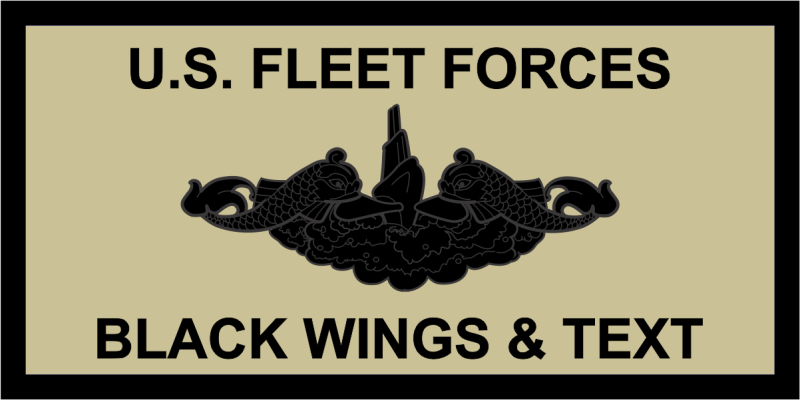 US Fleet Forces Command Khaki Name Tag