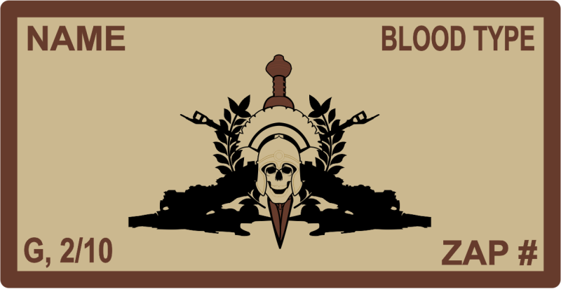 USMC 2D 10th MAR Desert Name Tag