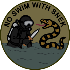 Image for US Naval Diving & Salvage Training Center Patch