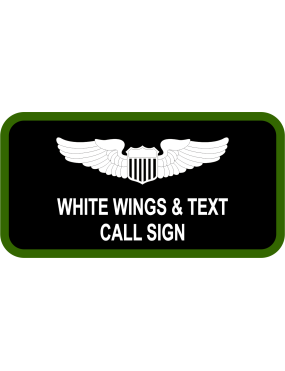 Image for 422 TES Black/Green Name Tag