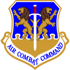 Image for 59 TES Air Combat Command Lion Patch