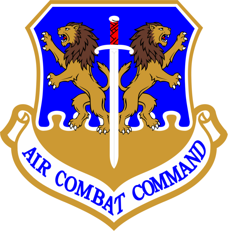 59 TES Air Combat Command Lion Patch