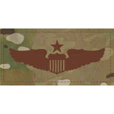 Image for 4" Senior Pilot Occupational OCP
