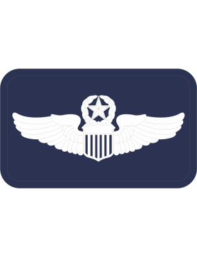 Image for Command Pilot Navy Occupational Device