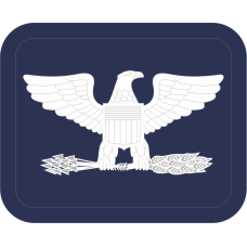 Image for Right Facing Colonel Navy Badge