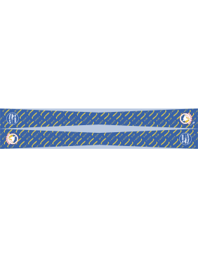 Image for 1 AACS Flight Scarf
