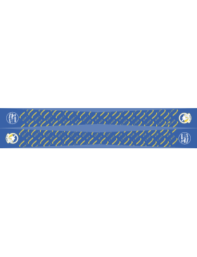 Image for 1 ACCS Flight Scarf 2023, Offutt AFB