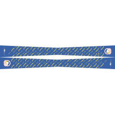 Image for 1 ACCS Flight Scarf 2024, Offutt AFB