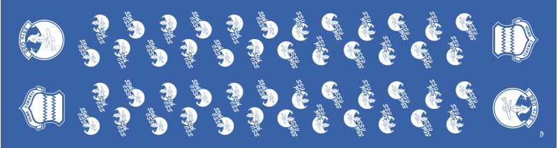 55 OSS Flight Scarf, Offutt AFB