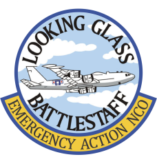 Image for Battlestaff Looking Glass Emergency Action Patch