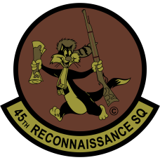 Image for 45 RS OCP Patch