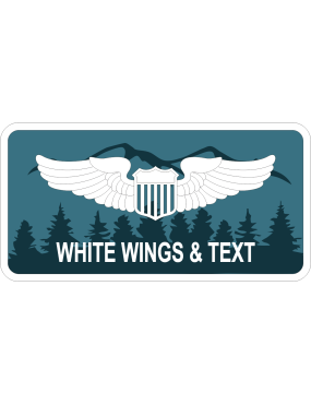 Image for 55 OG Det 1 Name Tag