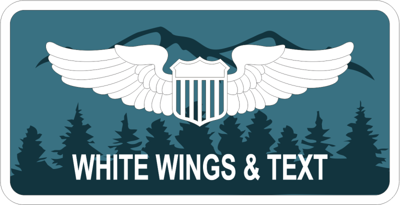 55 OG Det 1 Name Tag