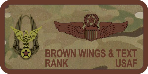HAF/Reserve AFRC OCP Name Tag, Pentagon