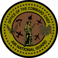 Image for Office Of The Command Chief ANG OCP Patch 4"