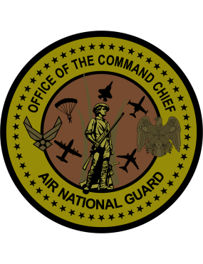 Image for Office Of The Command Chief ANG OCP Patch 4"
