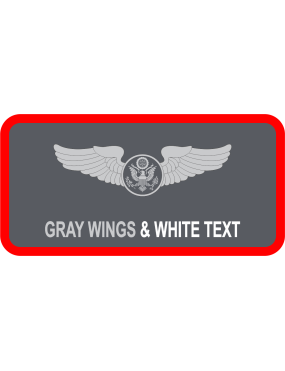 Image for 49 CTS Gray No-Logo Name Tag