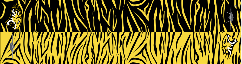 2OCU Flight Scarf, RAAF Base Williamtown