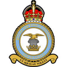 Image for 351 ARS King