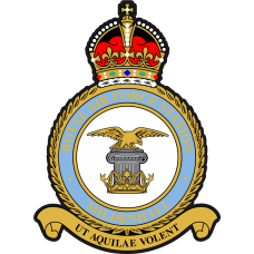 Image for 351 ARS King