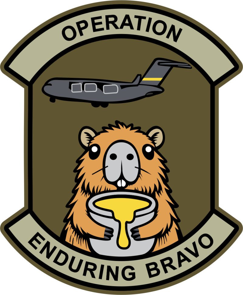 10 EAEF Operation Enduring Bravo Patch