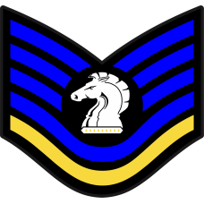 Image for 86 OSS TSGT Rank Blue/Yellow/Black/White Patch