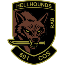 Image for 691 COS Hellhounds OCP Patch