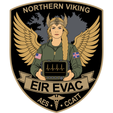 Image for 86 AES EIR EVAC Northern Viking Patch
