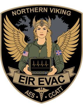 Image for 86 AES EIR EVAC Northern Viking Patch