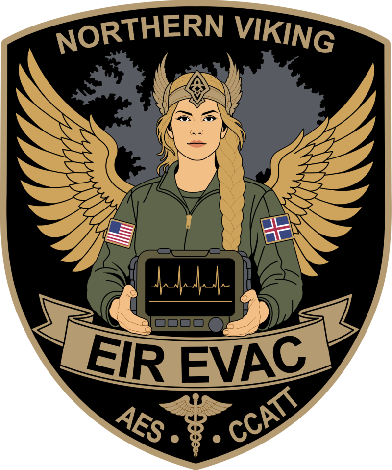 86 AES EIR EVAC Northern Viking Patch 