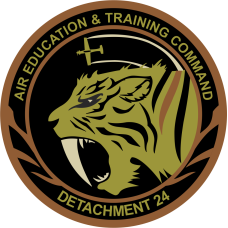 Image for Det 24 PTN Green Patch