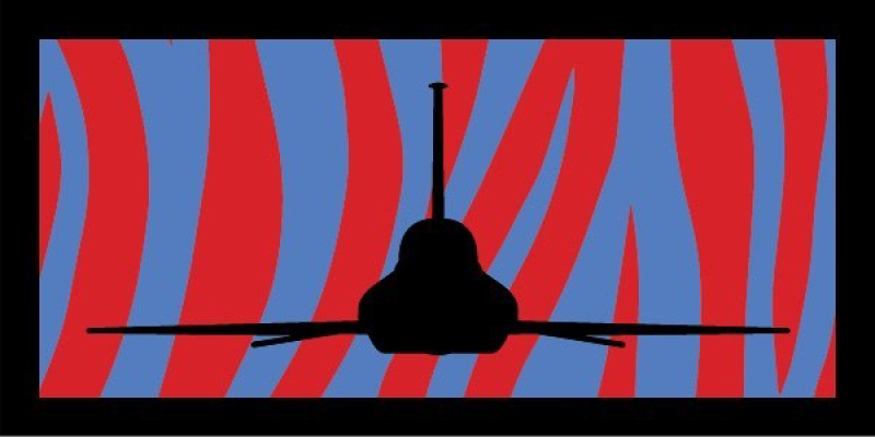 Det 24 PTN T-38 Aircraft Pocket Tab