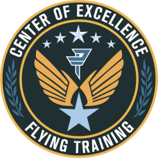 Image for Det 24 PTN Center Of Excellence Full Color Patch