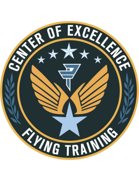 Image for Det 24 PTN Center Of Excellence Full Color Patch