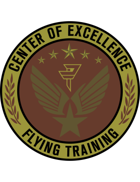 Image for Det 24 PTN Center Of Excellence OCP Patch