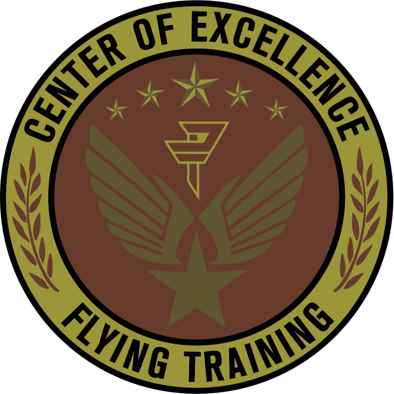 Det 24 PTN Center Of Excellence OCP Patch