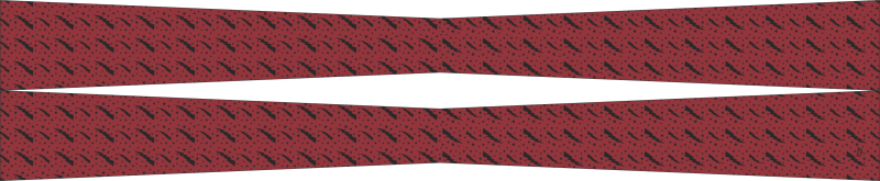 16 ACCS Flight Scarf, Robins AFB 