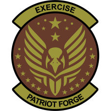 Image for HQ AFRC A7 Exercise Patriot Forge OCP Patch