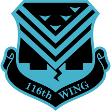 Image for 116 WING Blue Shield Patch