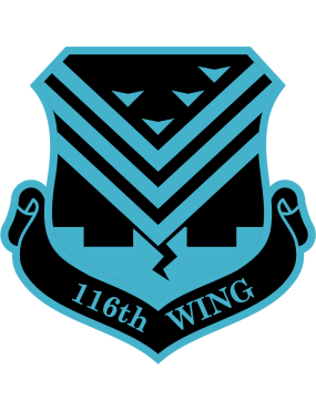 Image for 116 WING Blue Shield Patch