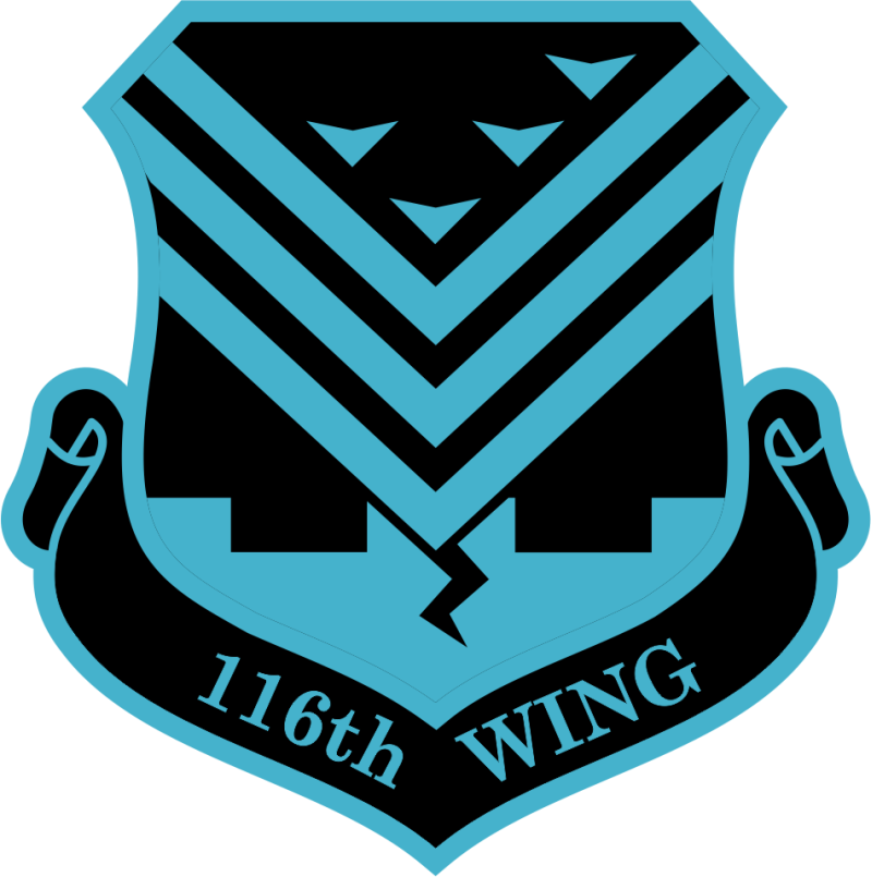 116 WING Blue Shield Patch