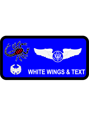 Image for 107 BMCS Blue Scorpion Mon-Thurs Name Tag