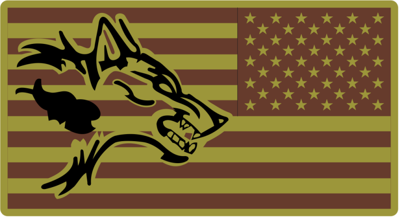 430 EECS American Flag with Wolf  Facing Right OCP Patch 2026