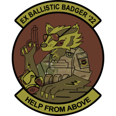 Image for 375 AES Ex Ballistic Badger OCP Patch 