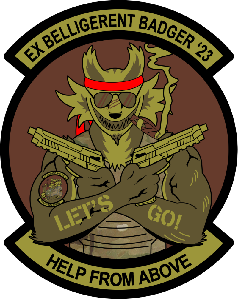 375 AES Ex Ballistic Badger OCP Patch '23