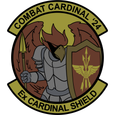 Image for 375 AES Ex Cardinal Shield 