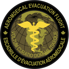 Image for 375 AES Voltum Curatio Domi Militiaeque OCP Patch