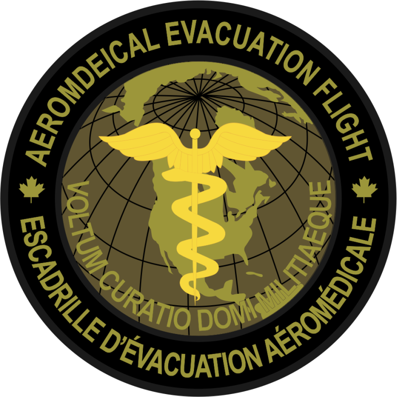 375 AES Voltum Curatio Domi Militiaeque OCP Patch