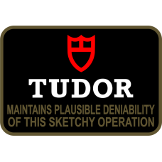 Image for 375 OG Det 1 TUDOR Patch