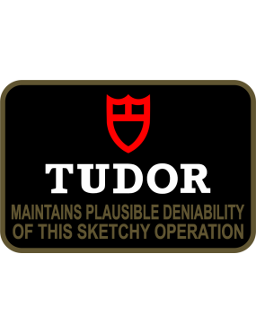 Image for 375 OG Det 1 TUDOR Patch